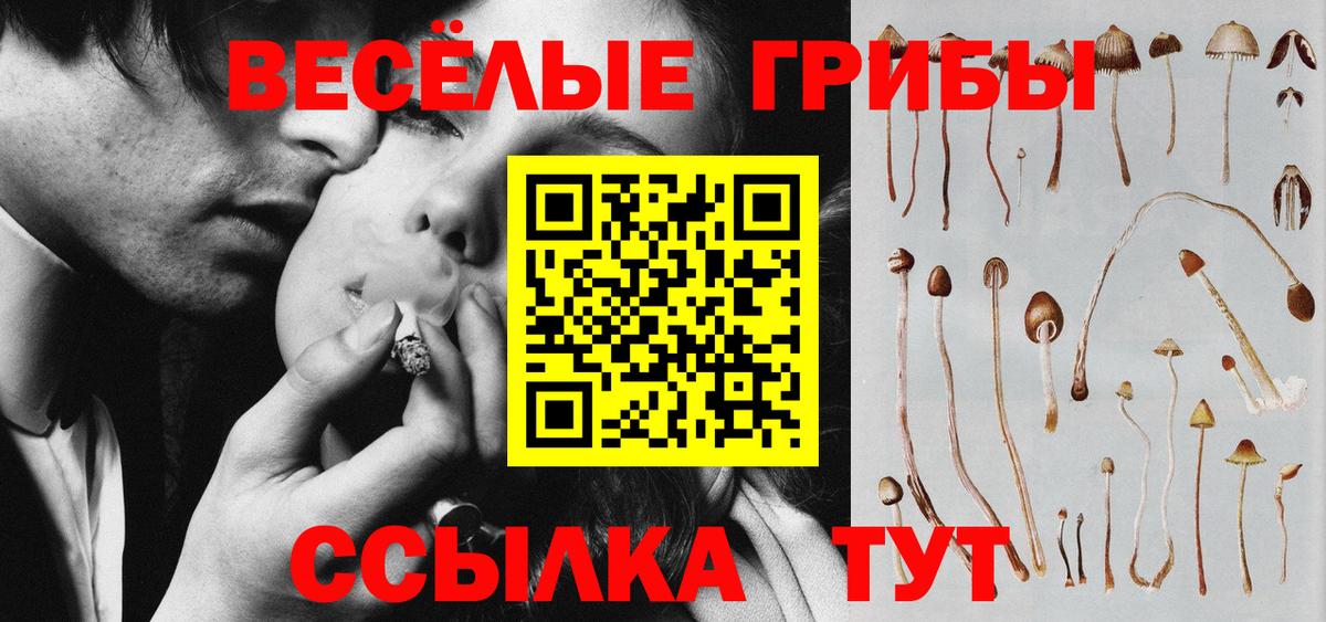 как найти наркотики  Псилоцибиновые грибы прущие грибы  Арзамас  Вход с VPN  Псилоцибиновые грибы GOLDEN TEACHER 